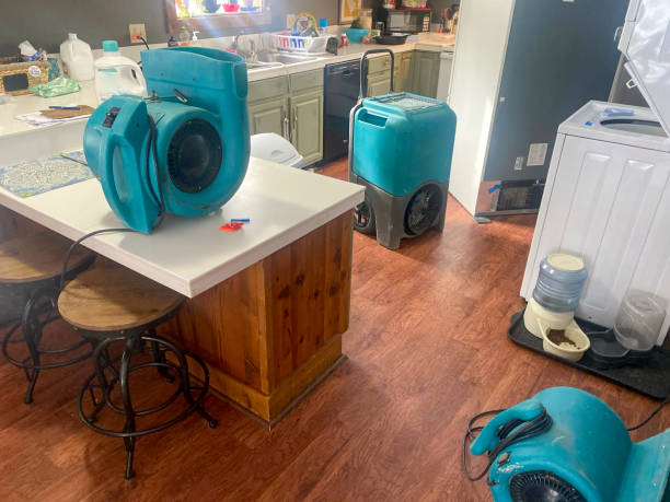 Best Water damage contractors near me  in Schleswig, IA