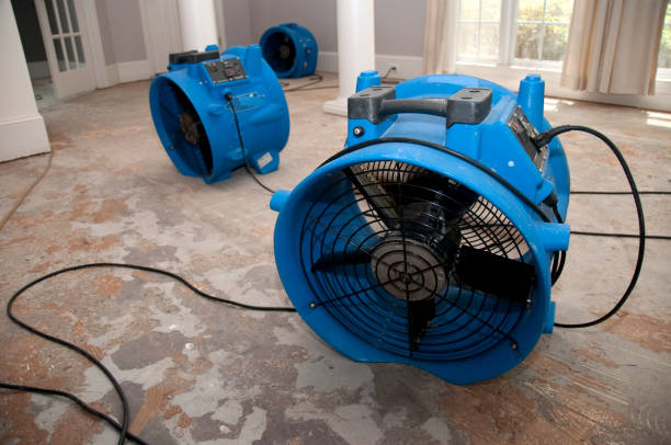 Best Emergency water damage restoration  in Schleswig, IA