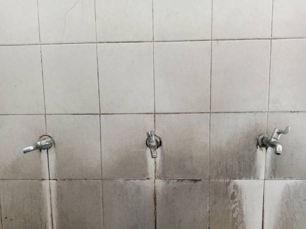 Best Commercial water damage restoration  in Schleswig, IA