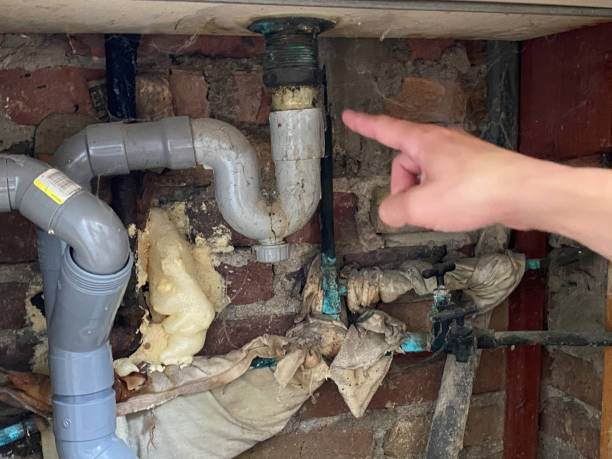 Best Water damage cleanup near me  in Schleswig, IA