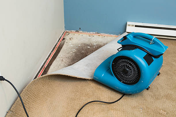 Best 24-hour water damage restoration  in Schleswig, IA